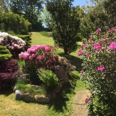 Bjergby Bed & Breakfast Bed & Breakfast Hjørring Eksteriør bilde